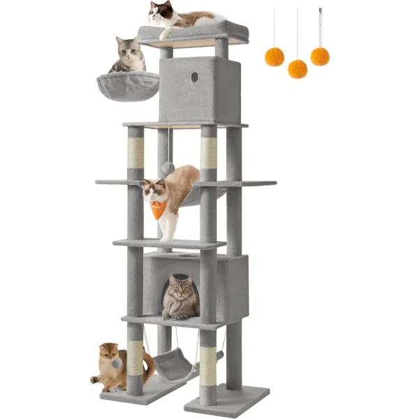 , Multi-Level Large Cat Condo